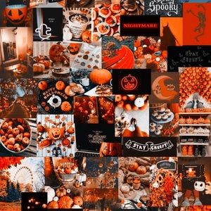 Meet your Posher, Isabella